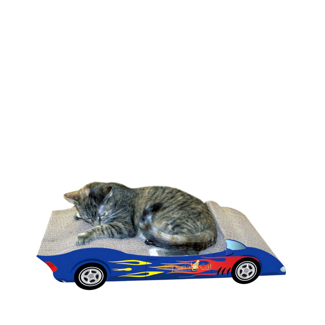 Car cat shops scratcher